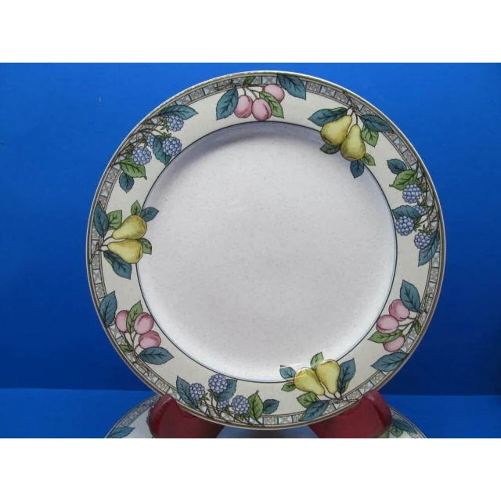Studio Nova Garden Gallery HG246 Rimmed Dinner Plates 11